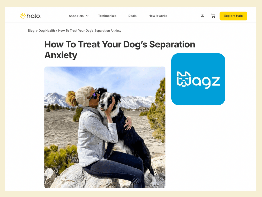 The text overlay provides general guidance on treating dog separation anxiety while the URL references a specific article ...