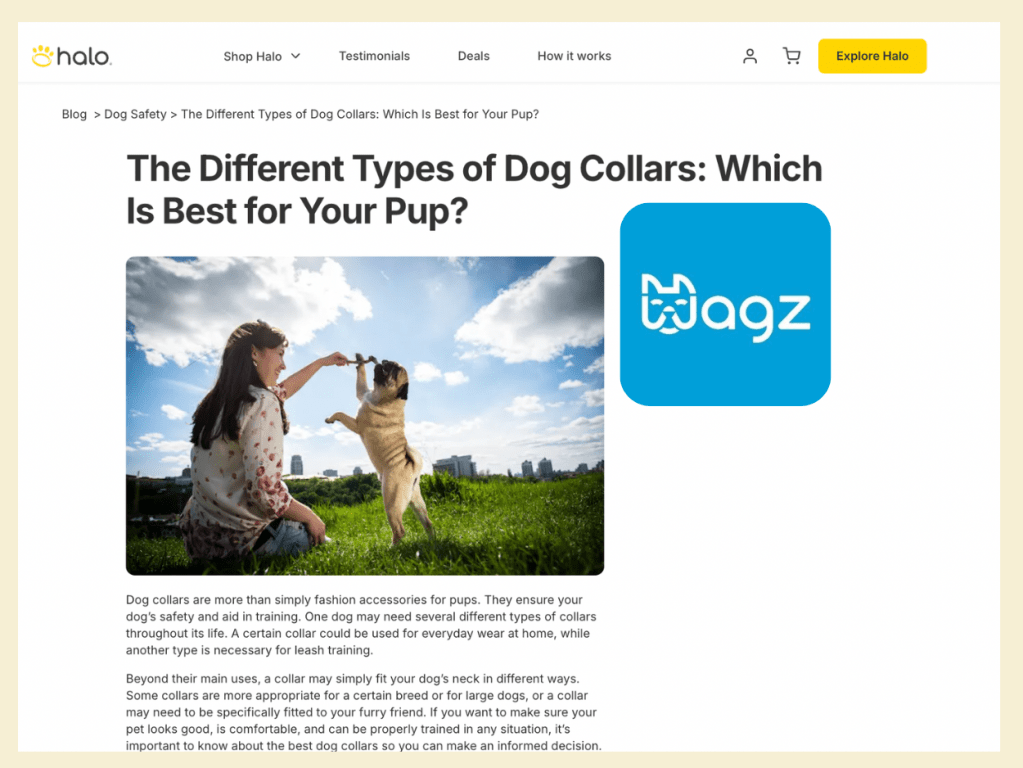 The image depicts a blog post titled "The Different Types of Dog Collars: Which Is Best for Your Pup?" from Halo, a compan...