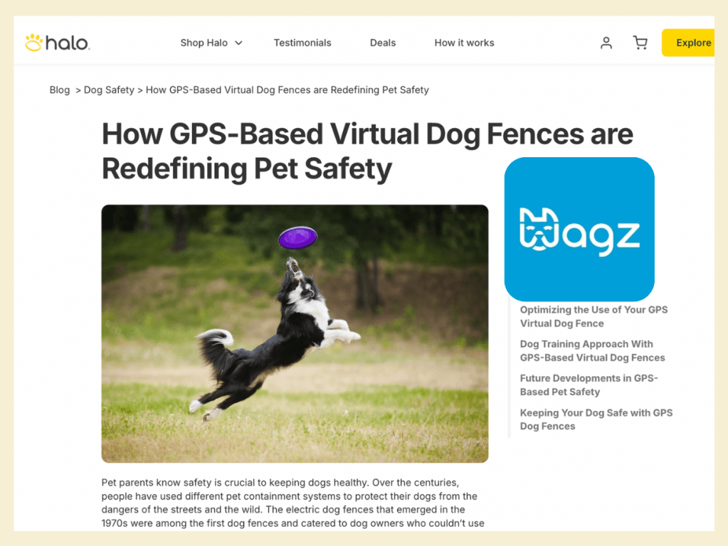 A black and white dog jumps in the air, preparing to catch a purple frisbee. The dog's paws are extended, and its tail is ...